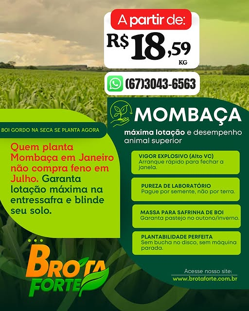 Promoção Mombaça