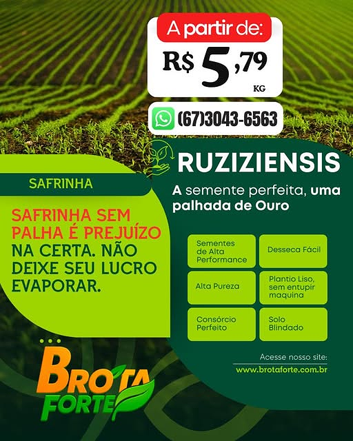 Promoção Ruziziensis